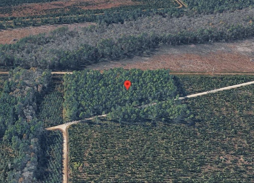 For Sale: $175,000 (10.00 acres)