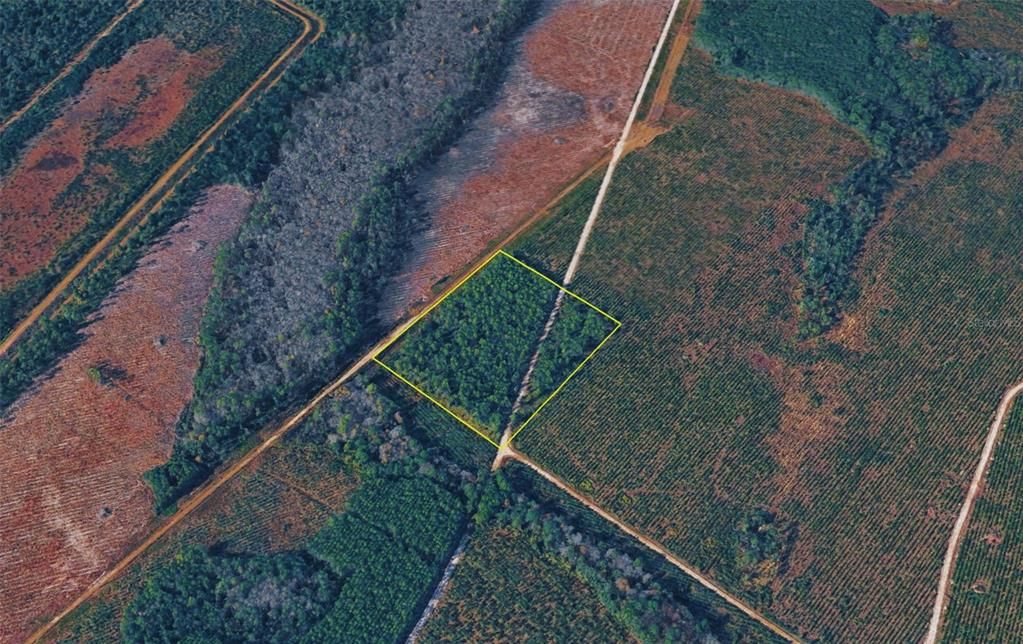 For Sale: $175,000 (10.00 acres)