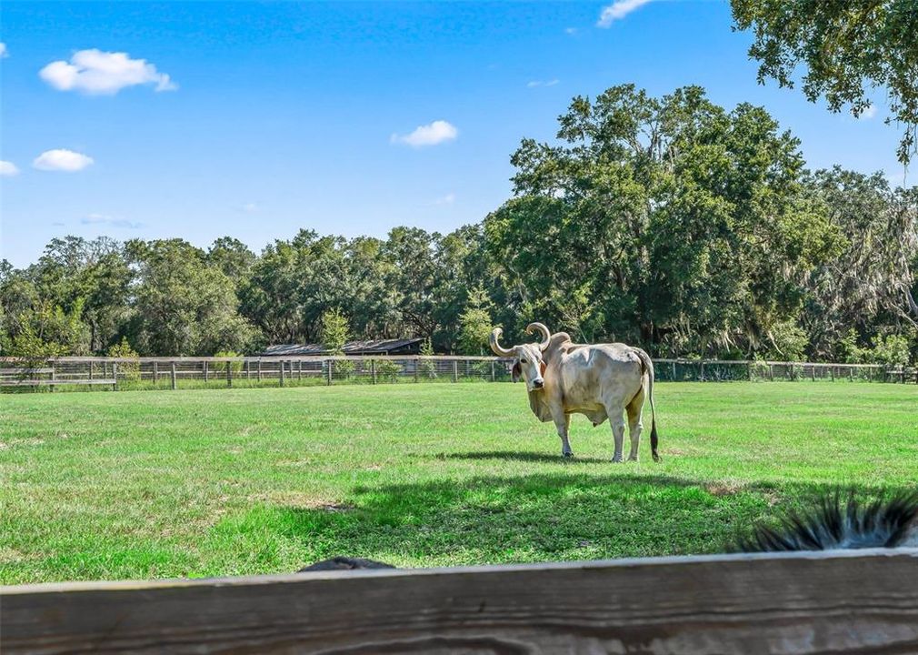 For Sale: $325,000 (2 beds, 2 baths, 1974 Square Feet)