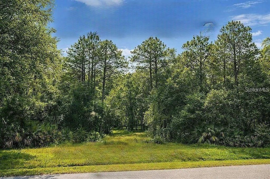 For Sale: $93,000 (0.69 acres)