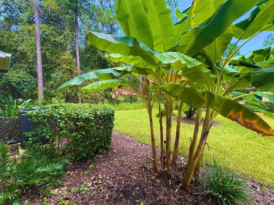 For Rent: $2,100 (3 beds, 2 baths, 1644 Square Feet)