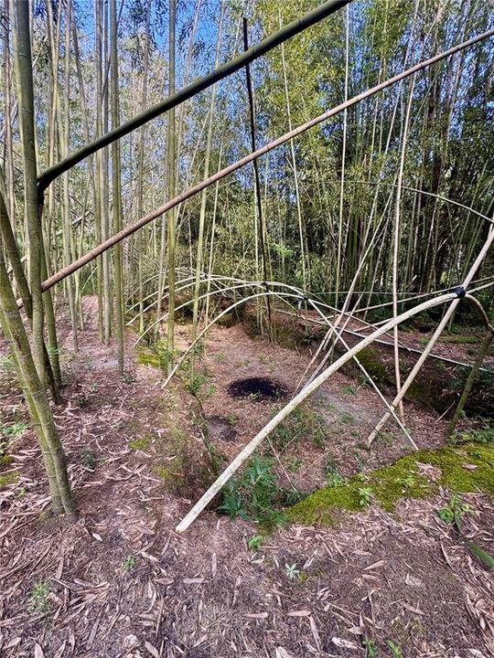 For Sale: $179,900 (5.67 acres)