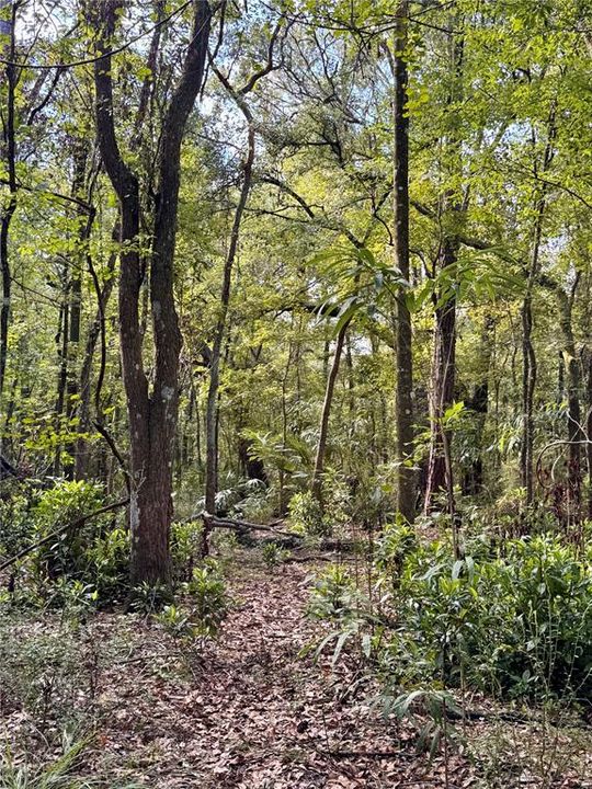 For Sale: $179,900 (5.67 acres)