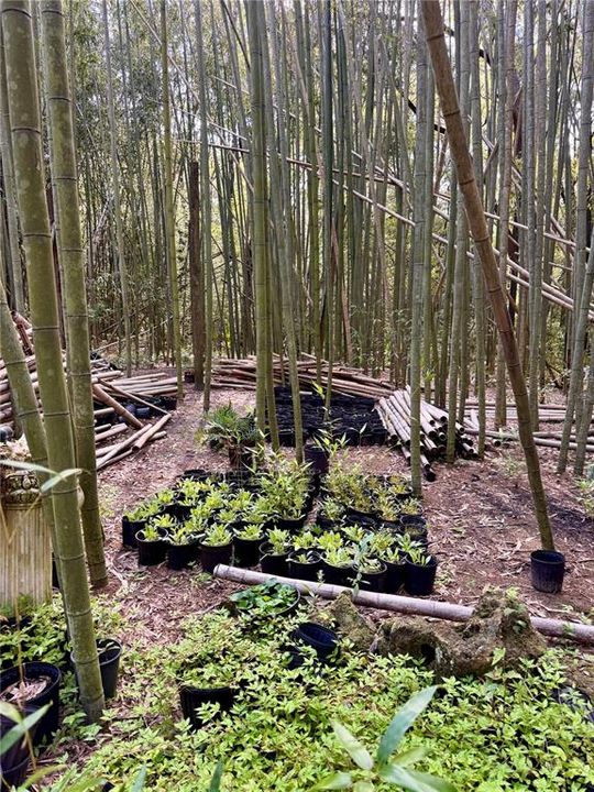 For Sale: $179,900 (5.67 acres)