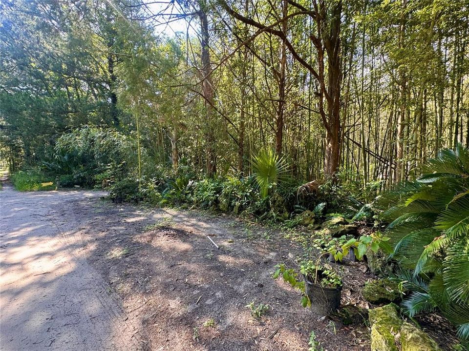 For Sale: $179,900 (5.67 acres)