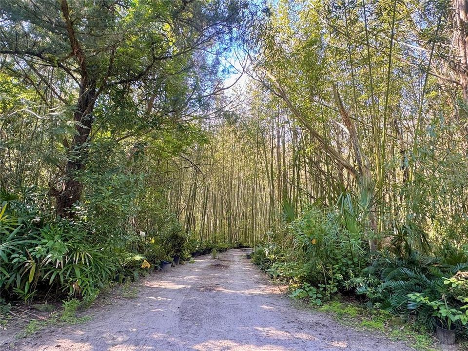 For Sale: $179,900 (5.67 acres)