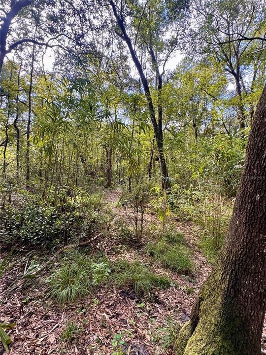 For Sale: $179,900 (5.67 acres)