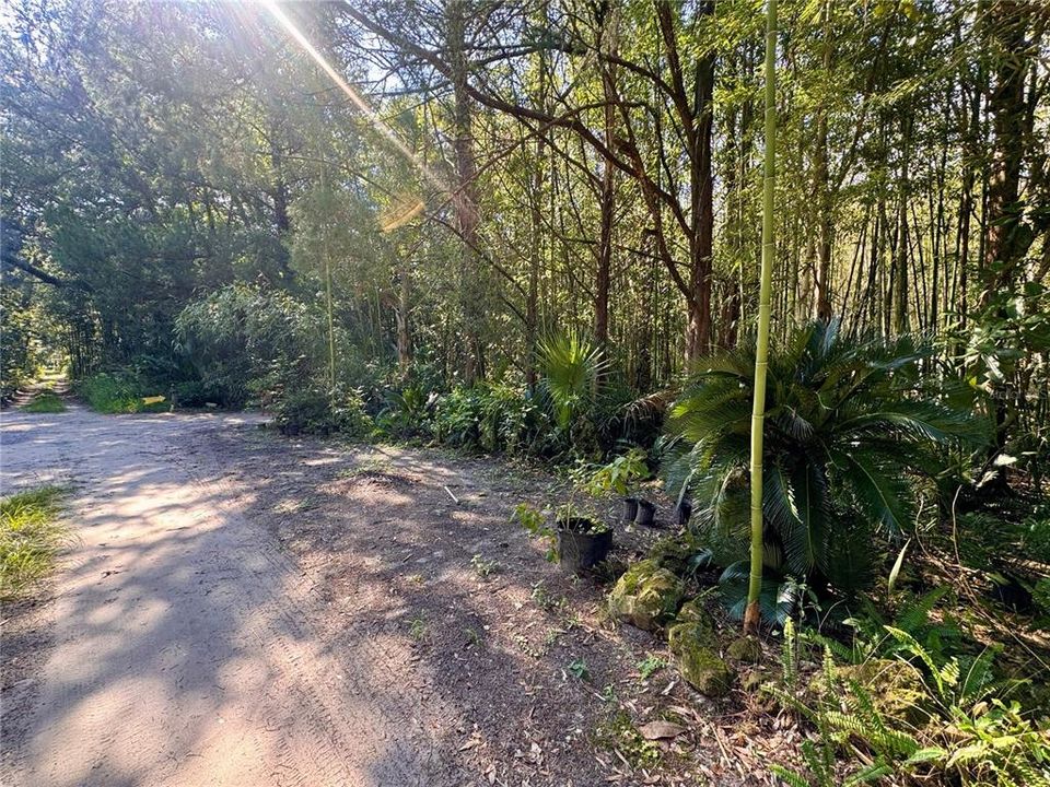 For Sale: $179,900 (5.67 acres)