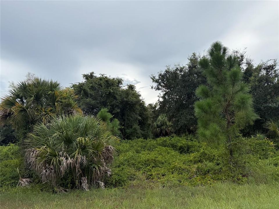 На продажу: $15,000 (0.29 acres)