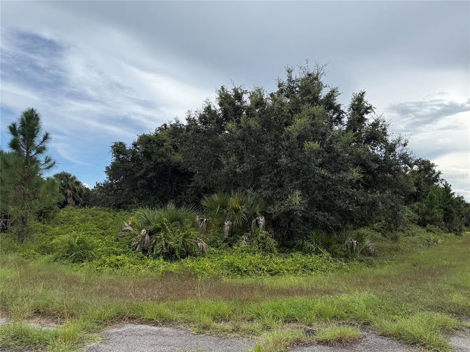 На продажу: $15,000 (0.29 acres)