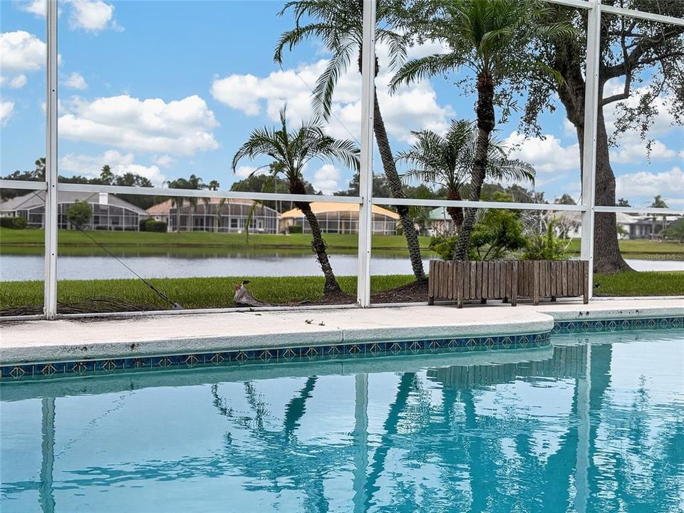 For Sale: $725,000 (5 beds, 4 baths, 2546 Square Feet)