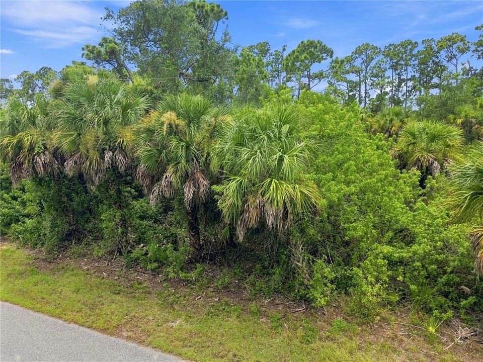 For Sale: $24,500 (0.23 acres)