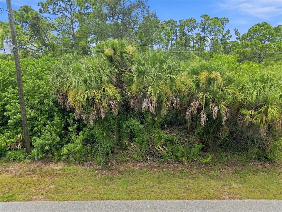 For Sale: $24,500 (0.23 acres)