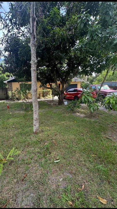 For Sale: $355,000 (3 beds, 2 baths, 1161 Square Feet)
