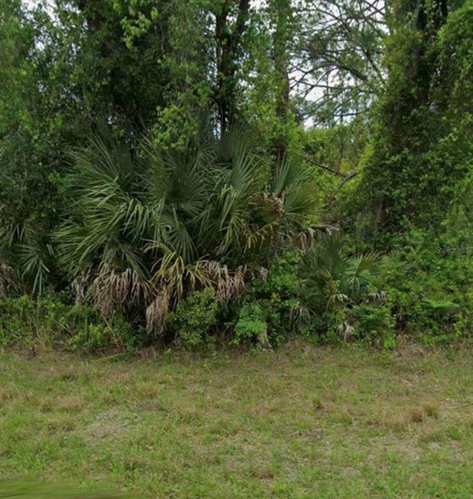 For Sale: $15,000 (0.23 acres)