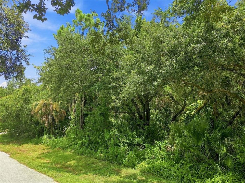Active With Contract: $24,500 (0.23 acres)