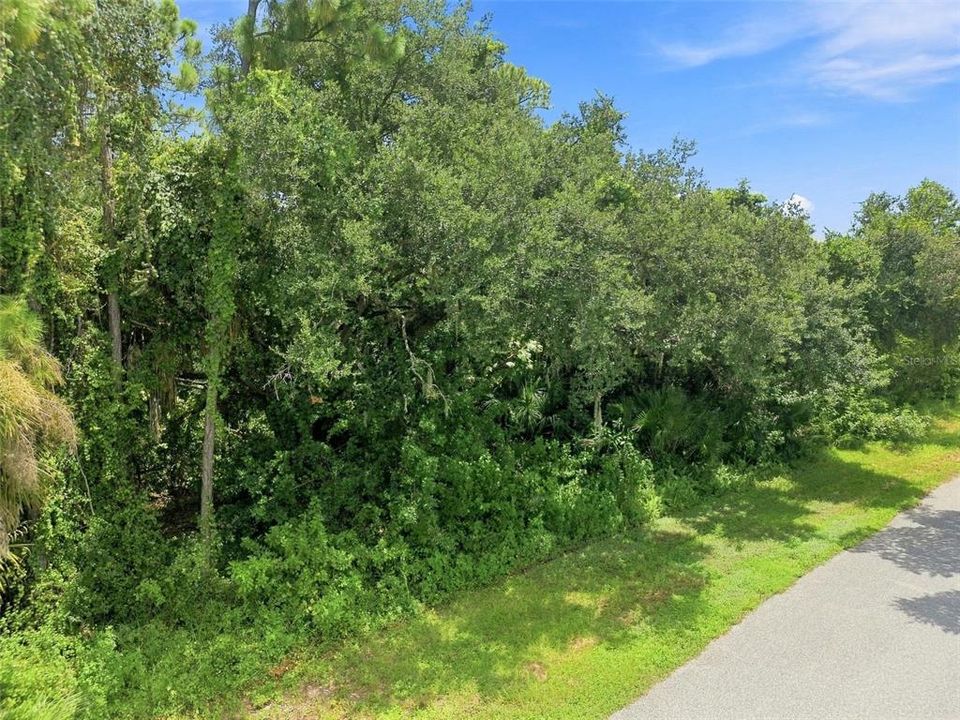 Active With Contract: $24,500 (0.23 acres)