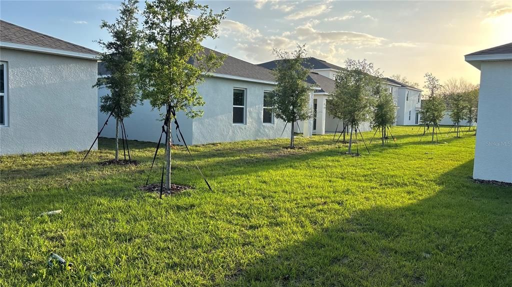 В аренду: $1,795 (3 спален, 2 ванн, 1504 Квадратных фут)