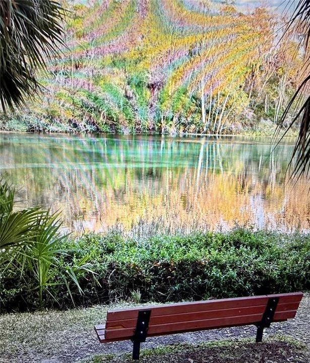 待售: $70,000 (1.21 acres)