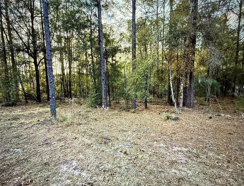 待售: $70,000 (1.21 acres)