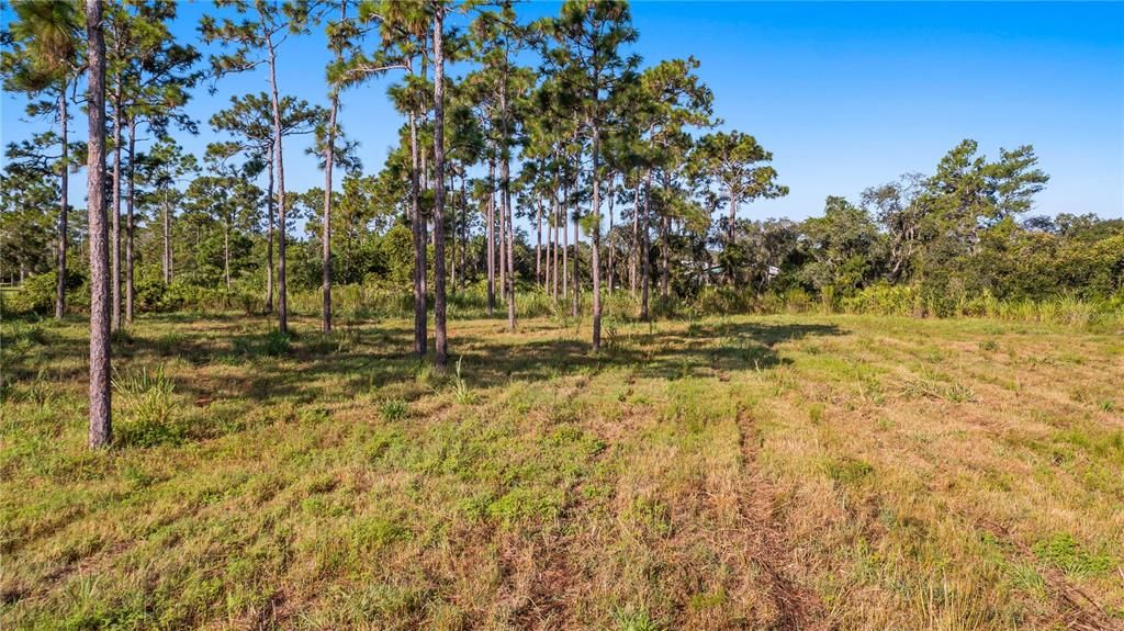 En Venta: $550,000 (5.00 acres)