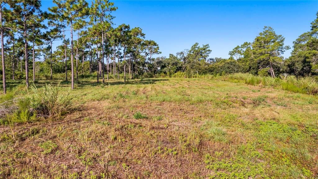 En Venta: $550,000 (5.00 acres)