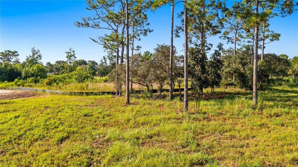 En Venta: $550,000 (5.00 acres)