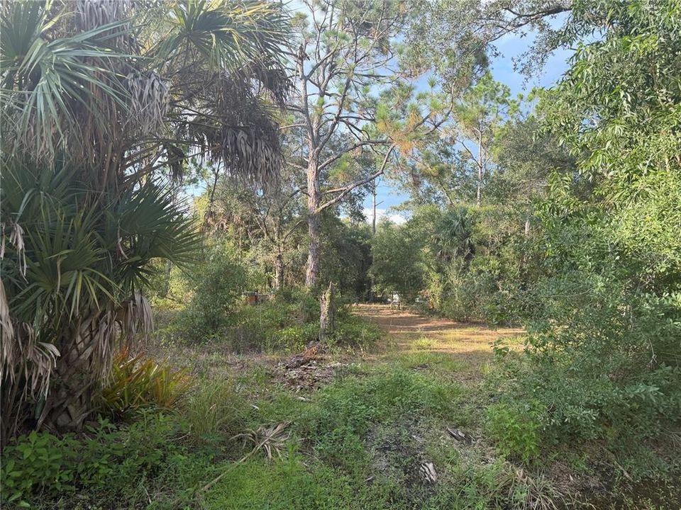 待售: $9,900 (0.17 acres)