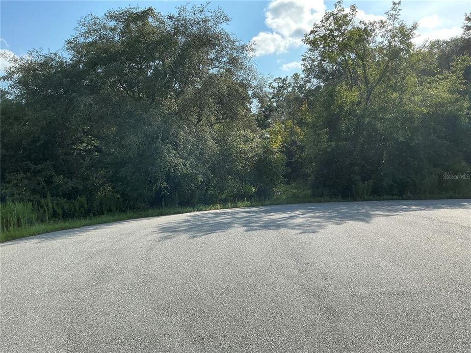 For Sale: $33,000 (0.24 acres)