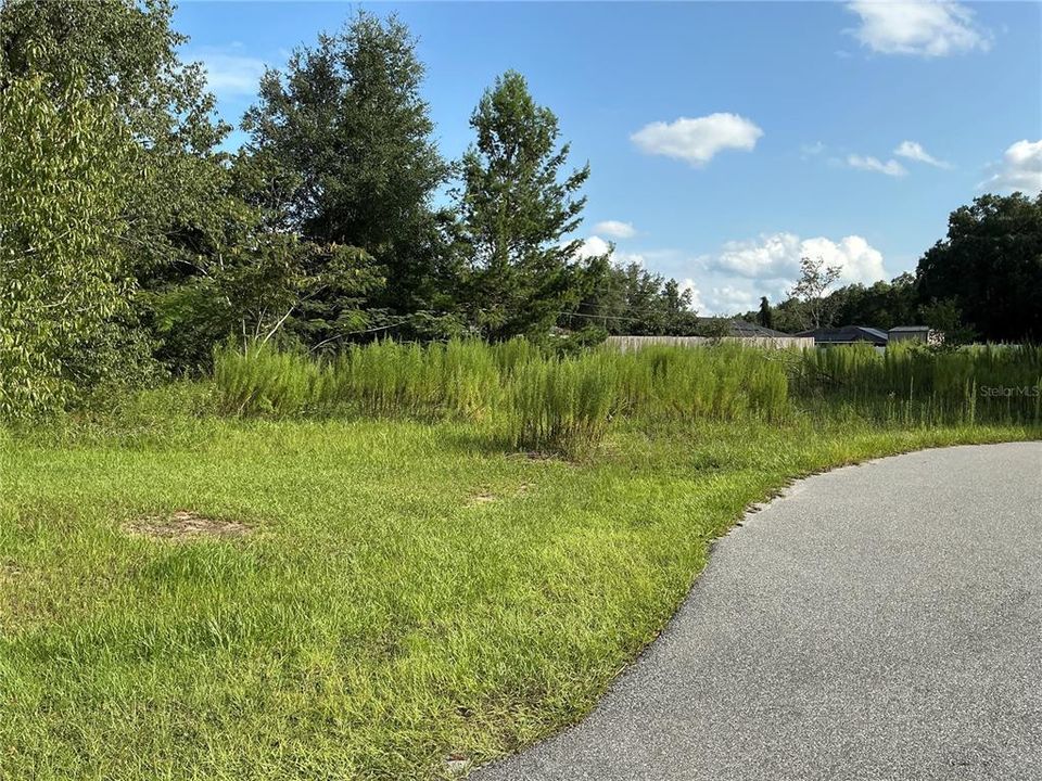 For Sale: $33,000 (0.24 acres)