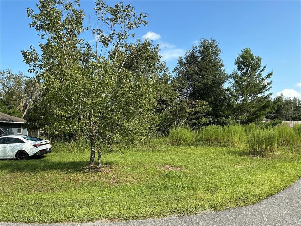 For Sale: $33,000 (0.24 acres)