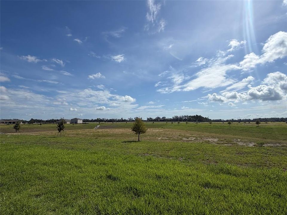 For Sale: $284,990 (3 beds, 2 baths, 1488 Square Feet)