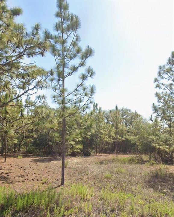 待售: $30,000 (0.99 acres)