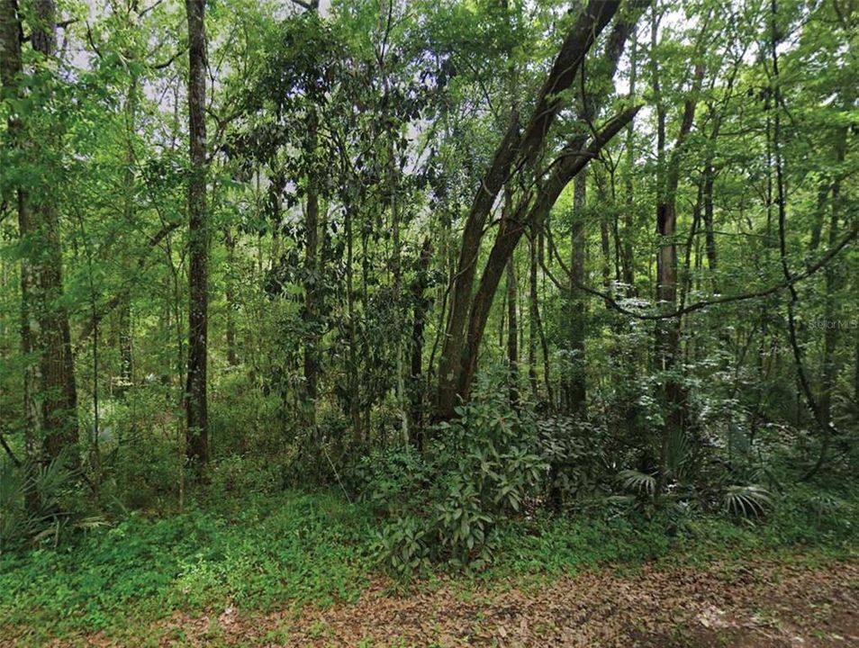 For Sale: $25,000 (1.00 acres)