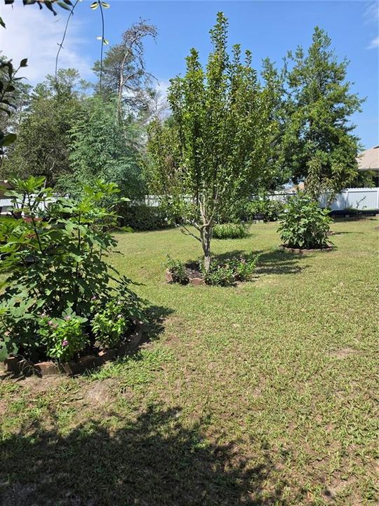 For Sale: $419,000 (5 beds, 3 baths, 2190 Square Feet)