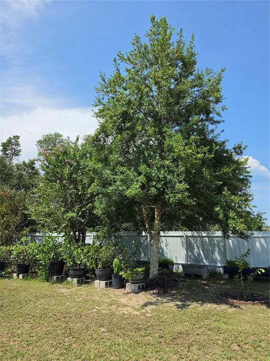 For Sale: $419,000 (5 beds, 3 baths, 2190 Square Feet)