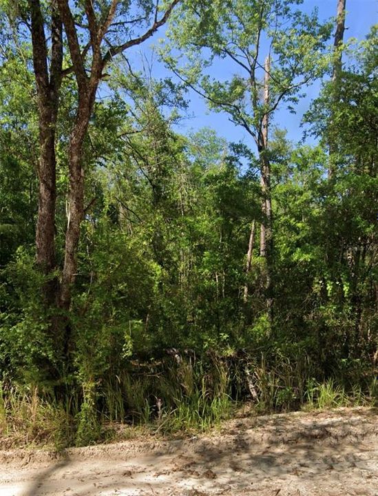 En Venta: $89,000 (5.32 acres)