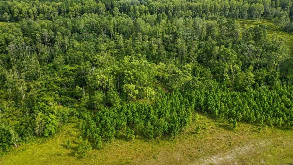 En Venta: $125,000 (10.04 acres)