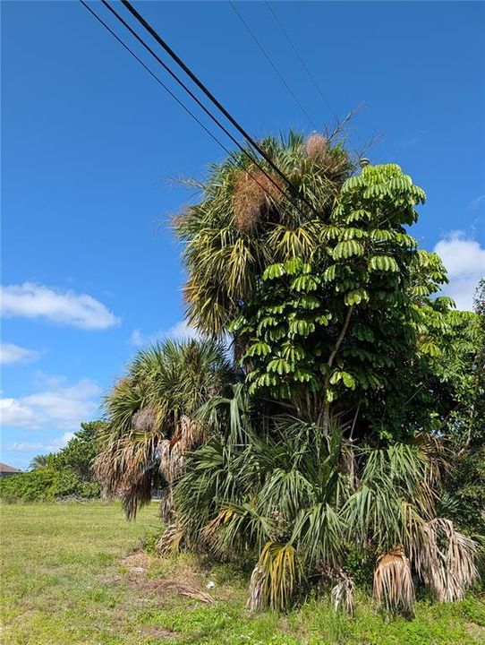 На продажу: $100,000 (0.23 acres)