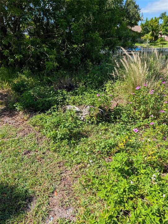 На продажу: $100,000 (0.23 acres)