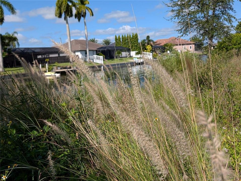На продажу: $100,000 (0.23 acres)