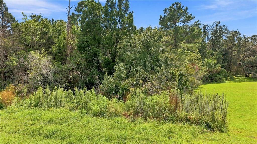 En Venta: $749,000 (4.26 acres)