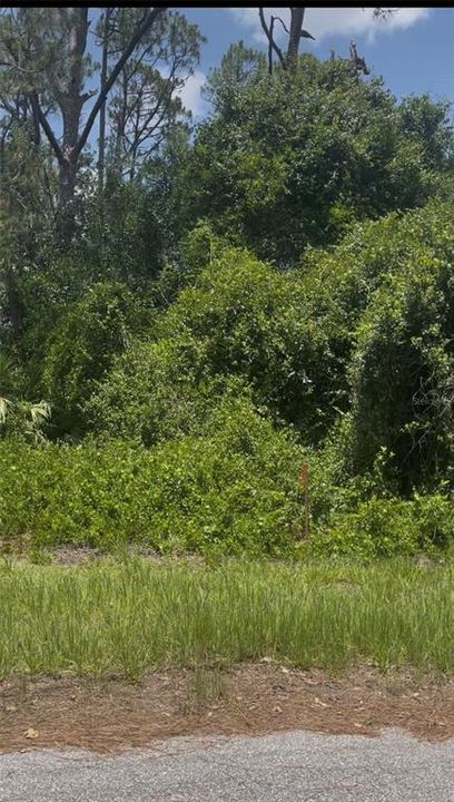 На продажу: $26,900 (0.27 acres)