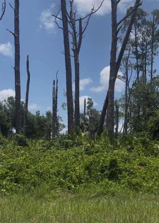 На продажу: $26,900 (0.27 acres)