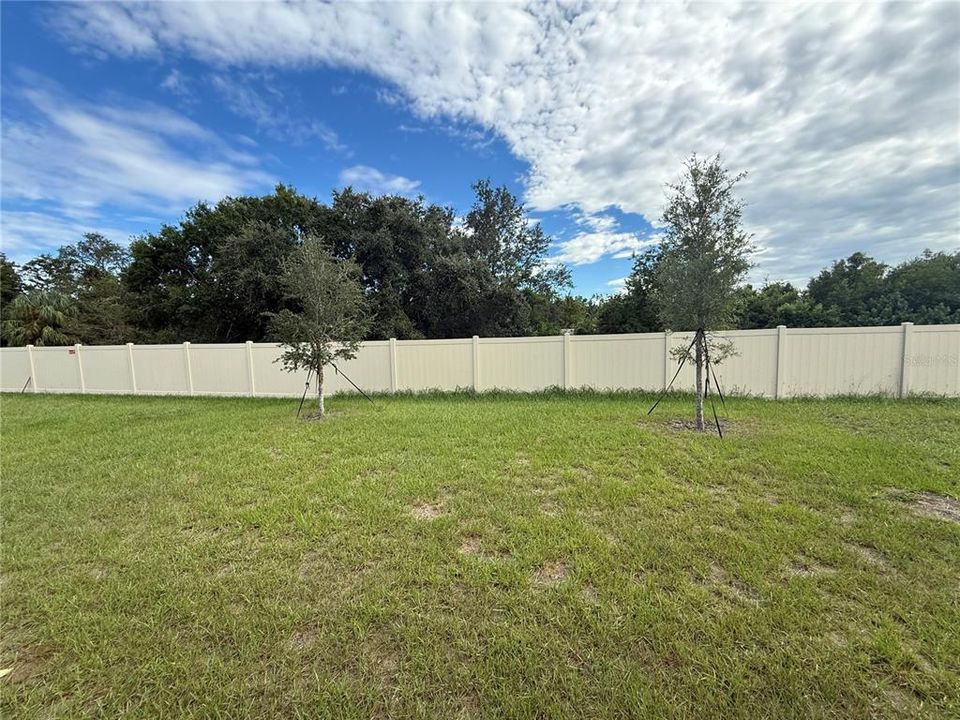 For Sale: $419,990 (5 beds, 2 baths, 2539 Square Feet)