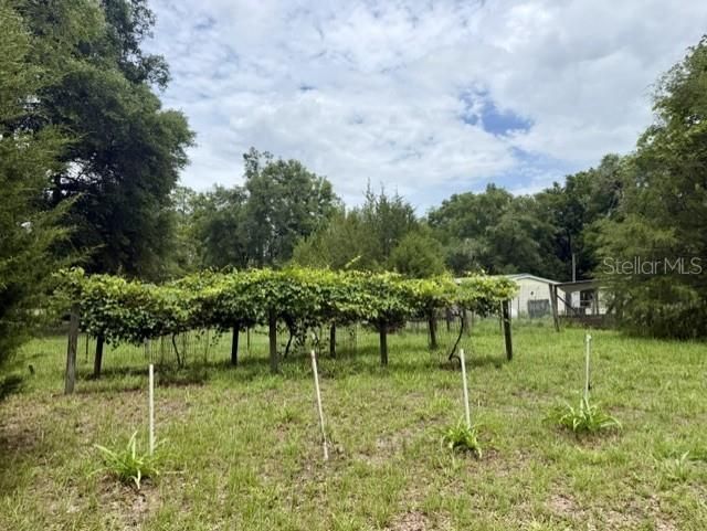 待售: $350,000 (19.49 acres)