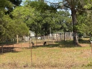 待售: $350,000 (19.49 acres)