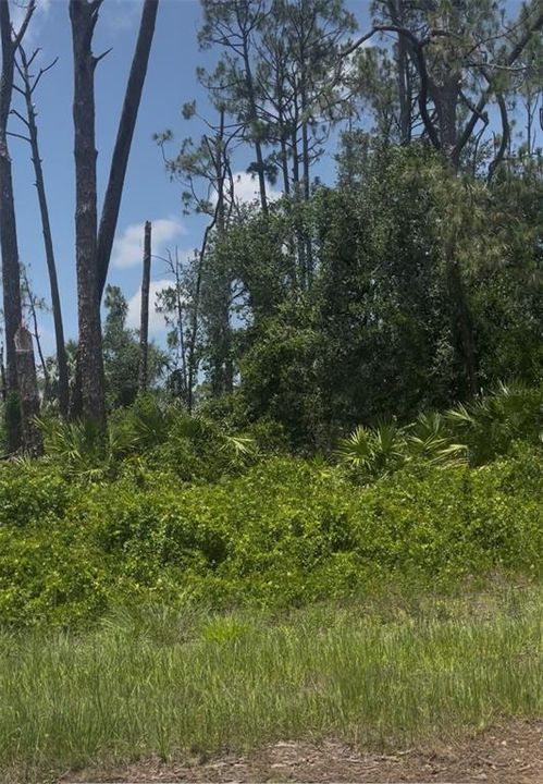 На продажу: $39,900 (0.48 acres)