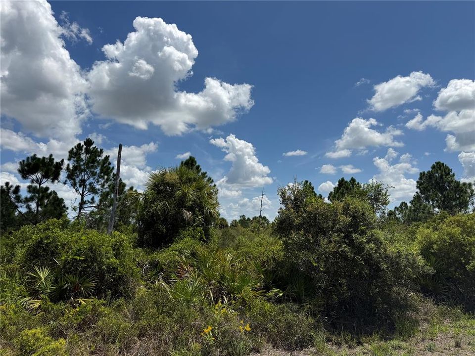На продажу: $12,500 (0.23 acres)