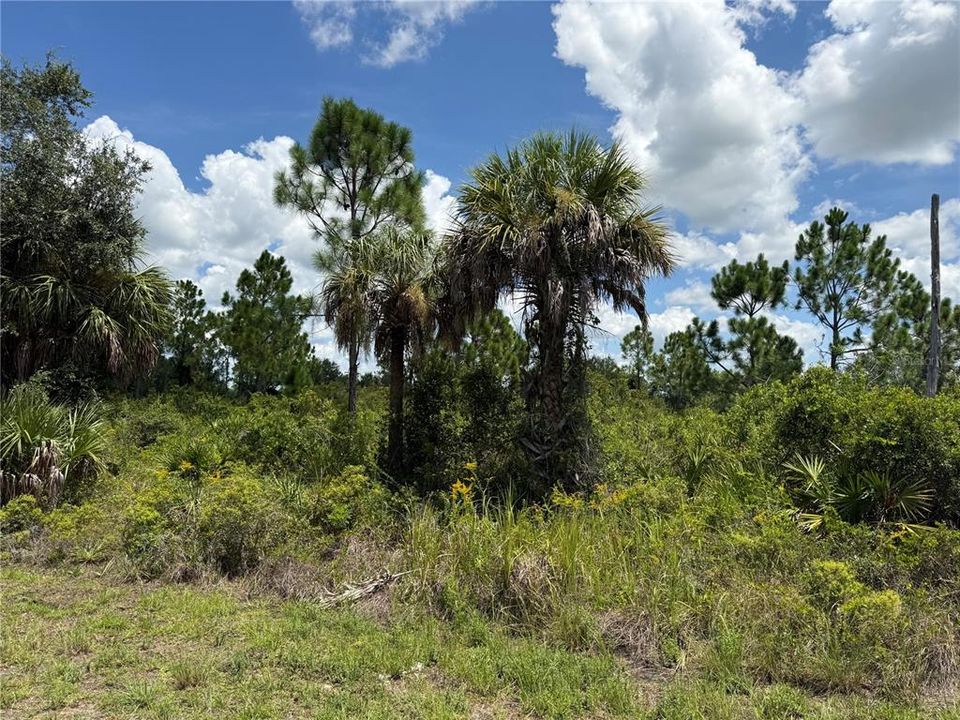 На продажу: $12,500 (0.23 acres)